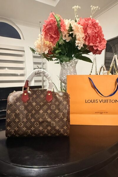 Louis Vuitton Speedy 30 Soft Celebration