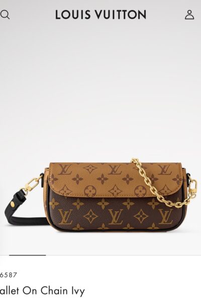 Wallet on Chain Ivy